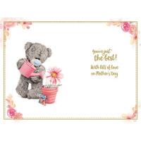Wonderful Nan Me to You Bear Mother's Day Card Extra Image 1 Preview